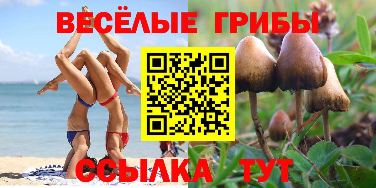 Псилоцибиновые грибы ЛСД Мариинск
