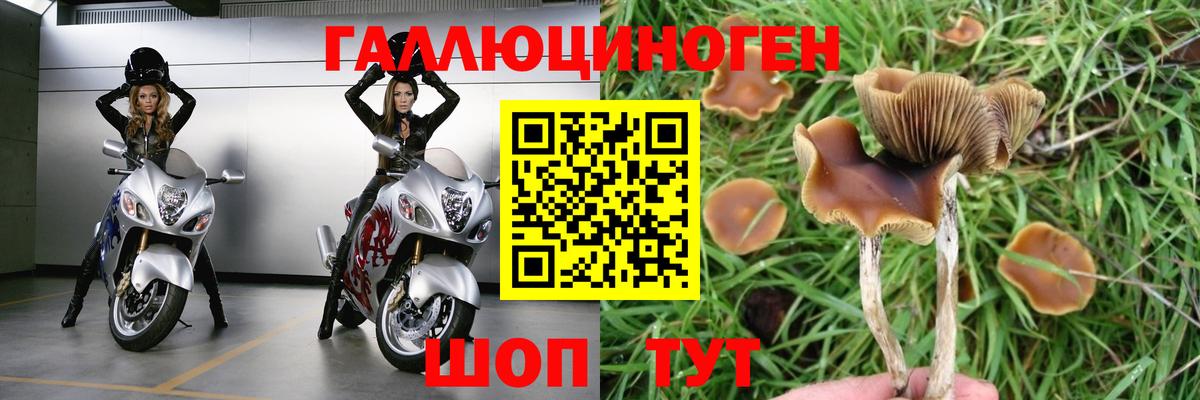 Галлюциногенные грибы Psilocybine cubensis  Вход с VPN  Галлюциногенные грибы Magic Shrooms  Мариинск 